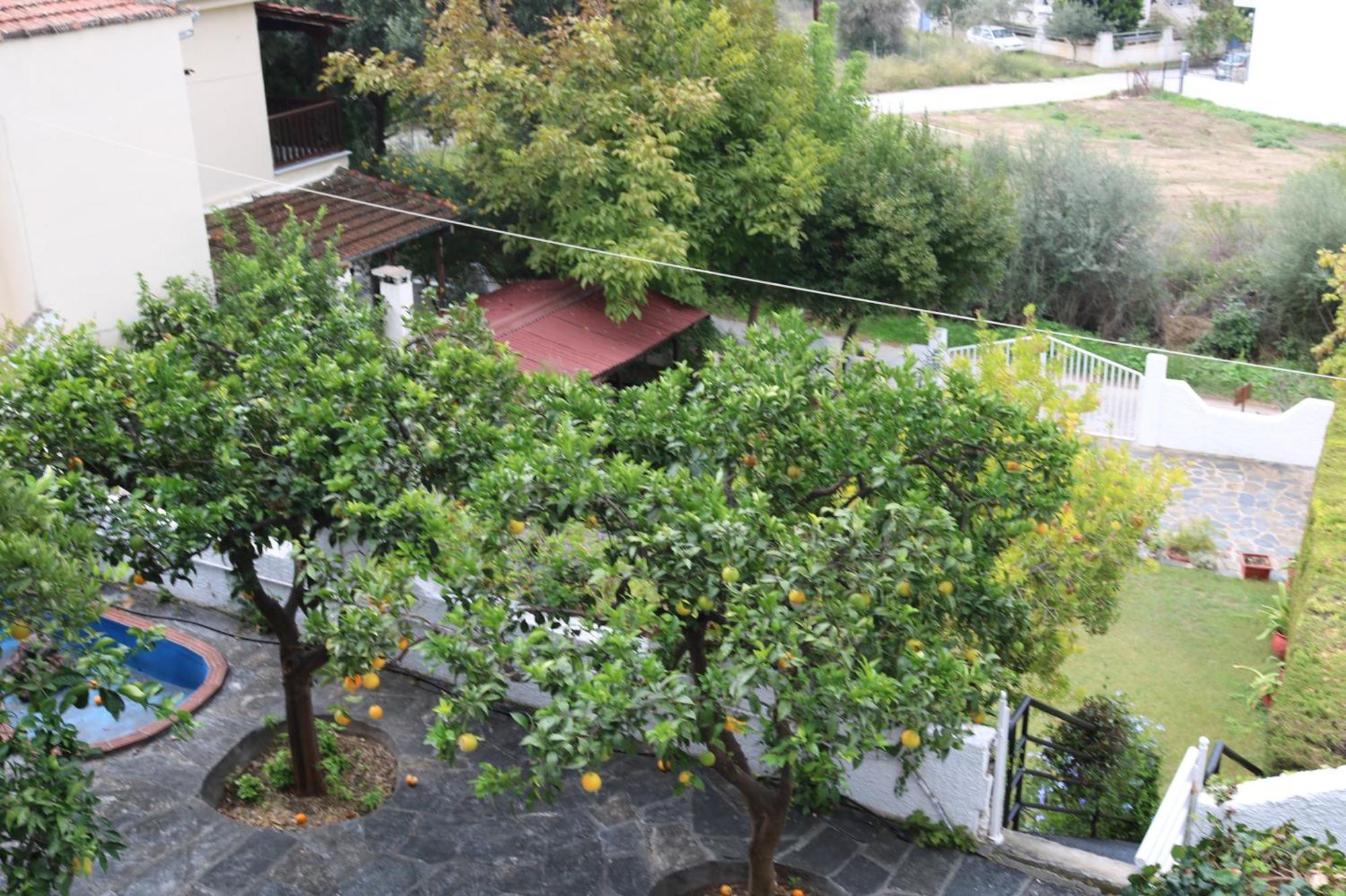 Villa Sofia Marathos  Экстерьер фото