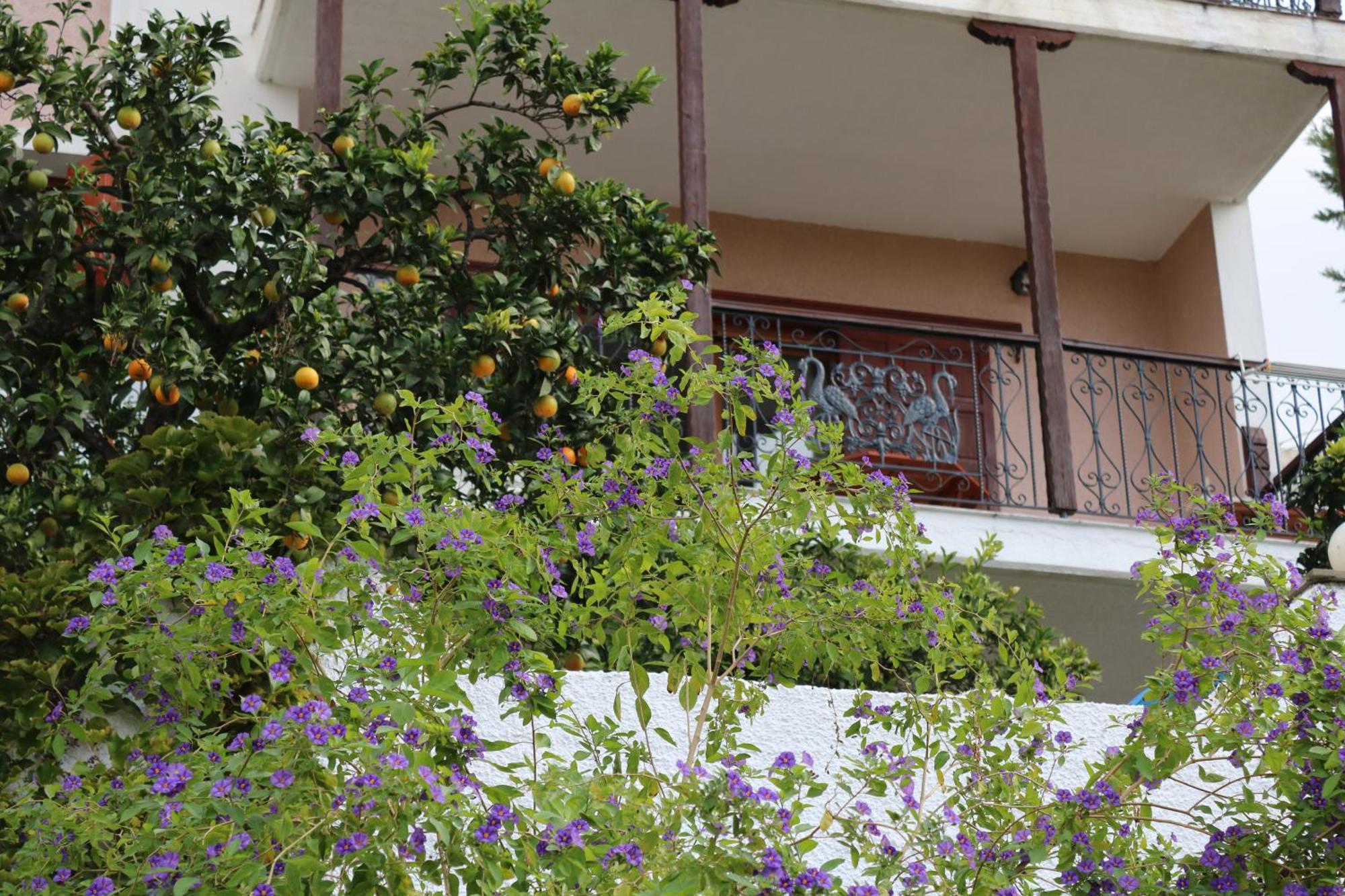 Villa Sofia Marathos  Экстерьер фото