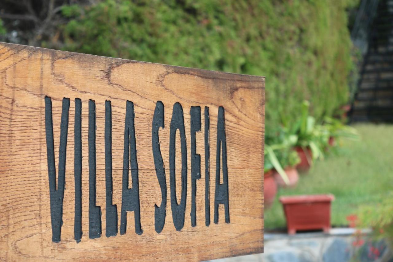 Villa Sofia Marathos  Экстерьер фото
