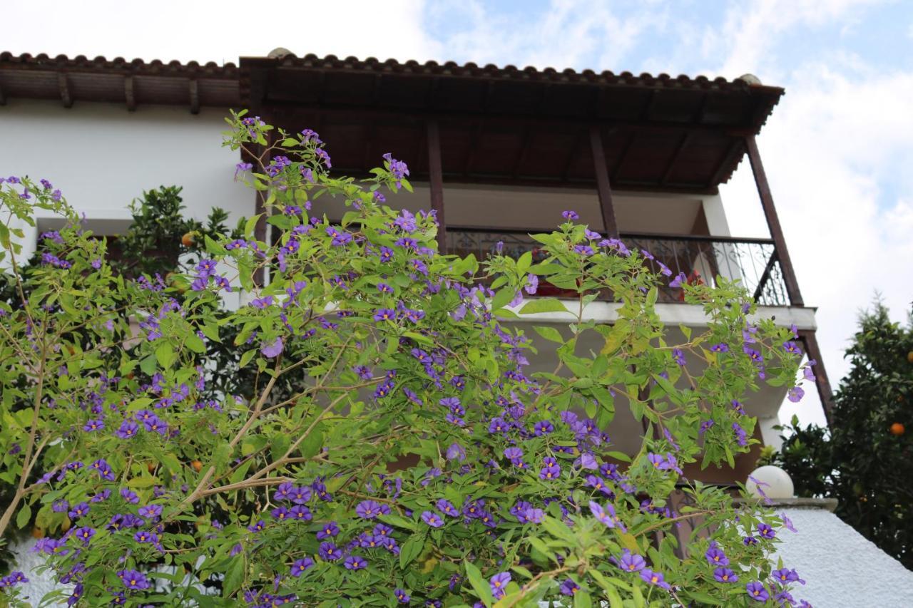 Villa Sofia Marathos  Экстерьер фото